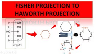 FISCHER TO HAWORTH PROJECTION OF GLUCOSE | how to convert fisher to haworth easy way stereochemistry