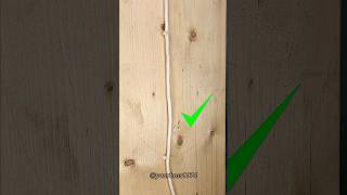 Electricians Wont Show You This How To Easily Secure Wire Without Special Fasteners?