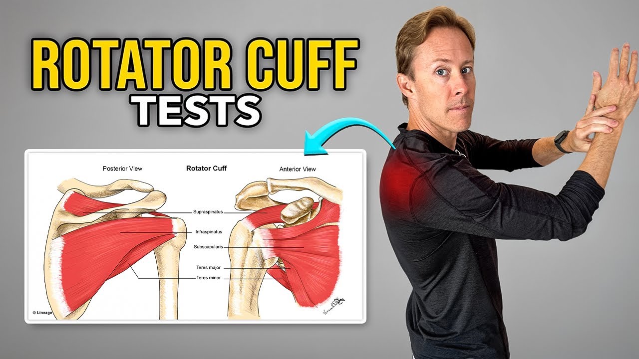 Боль в плече вызвана вращательной манжетой плеча? Попробуйте эти тесты.