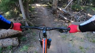 Timberline to Town 2021
