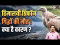 25 Himalayan Griffon Vultures Found Dead | What Caused Their Death? | Current Affairs | Drishti IAS