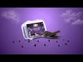 Jamun Chips Health Benefits for Diabetics in India Order Online