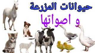 اسماء_حيوانات_المزعة_و اصواتها_باللغة_ العربية/les animaux de la ferme en arabe