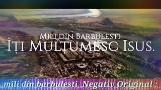 Mili din berbulesti  iti multumesc isus 😢🙏👍