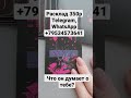 Что он думает о тебе? ВКонтакте @tarotteta