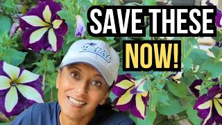 Saving Seeds (Gomphrena Coneflower Petunias Dahlia Impatiens)