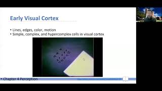 CogPsy W02b -- Ch 04 -- 02 Early Visual Cortex
