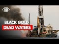 How Oil Dreams Turned into Toxic Nightmares in Brazil – Documentary - AMP