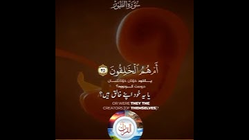 Surah At-Tur | سورة الطور | Ayat 35-36 | The Visual Quran
