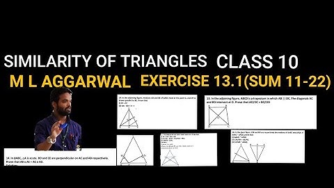 SIMILARITY OF TRIANGLES CLASS 10 || ICSE || M L AGGARWAL || EXERCISE 13.1 || SUM 11 TO 22