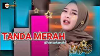 🔴Tanda Merah || tanpa kendang || ines || Dangdut~koplo