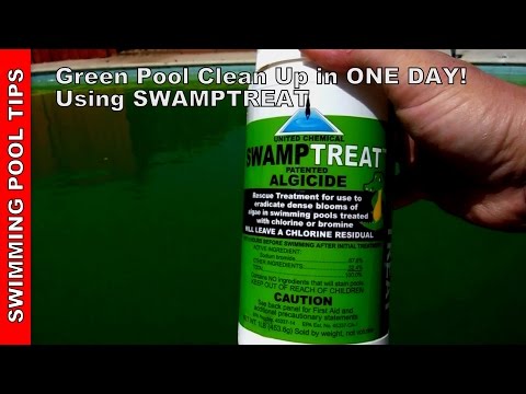 Green Pool Clean Up in One Day Using "Swamp Treat"