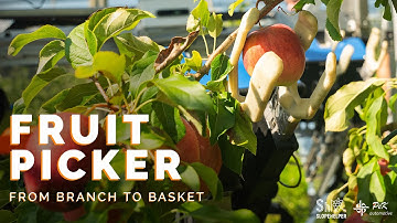 Autonomous Fruit Picker | Slopehelper robot by PeK Automotive 🍎