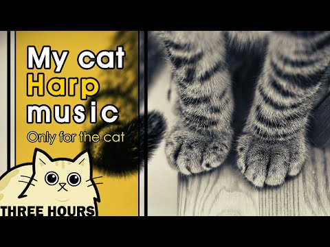 [광고없음] 예민한 고양이를 위한 진정음악 º 안정음악 º Healing Music lullaby for a cat º pet therapy