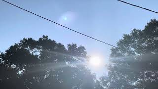 Celebrity 8:22am#2  Rolls Around Inside👀 Wealth