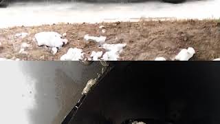 Girl Run Over My Hidden Phone Seat Ibiza 945Kg Girl 55-60 Kg