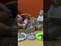 Adorable baby monkey #monkeylove #monkeybaby #adorable #adorablemonkey #babyanimal #monkeysmart