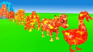 Duck Cartoon Paint Animals Gorilla Cow Elephant Tiger Fountain Crossing Animals Lava Transformation