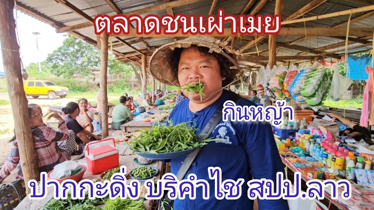 กินหญ้าครั้งแรกในลาว!!