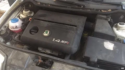 Quanto consuma una Skoda Fabia?