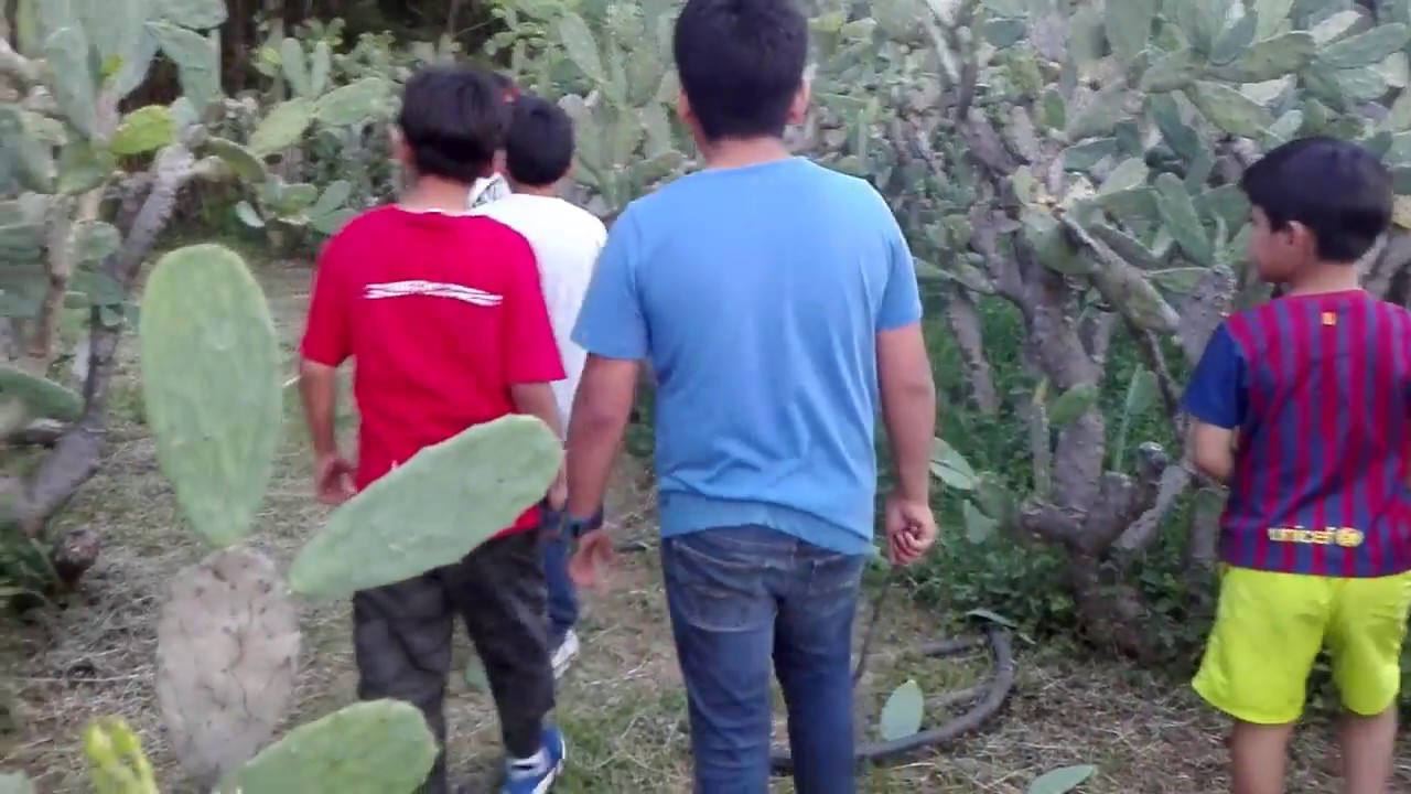 Exploramos un terreno baldío y esto fue lo que paso...