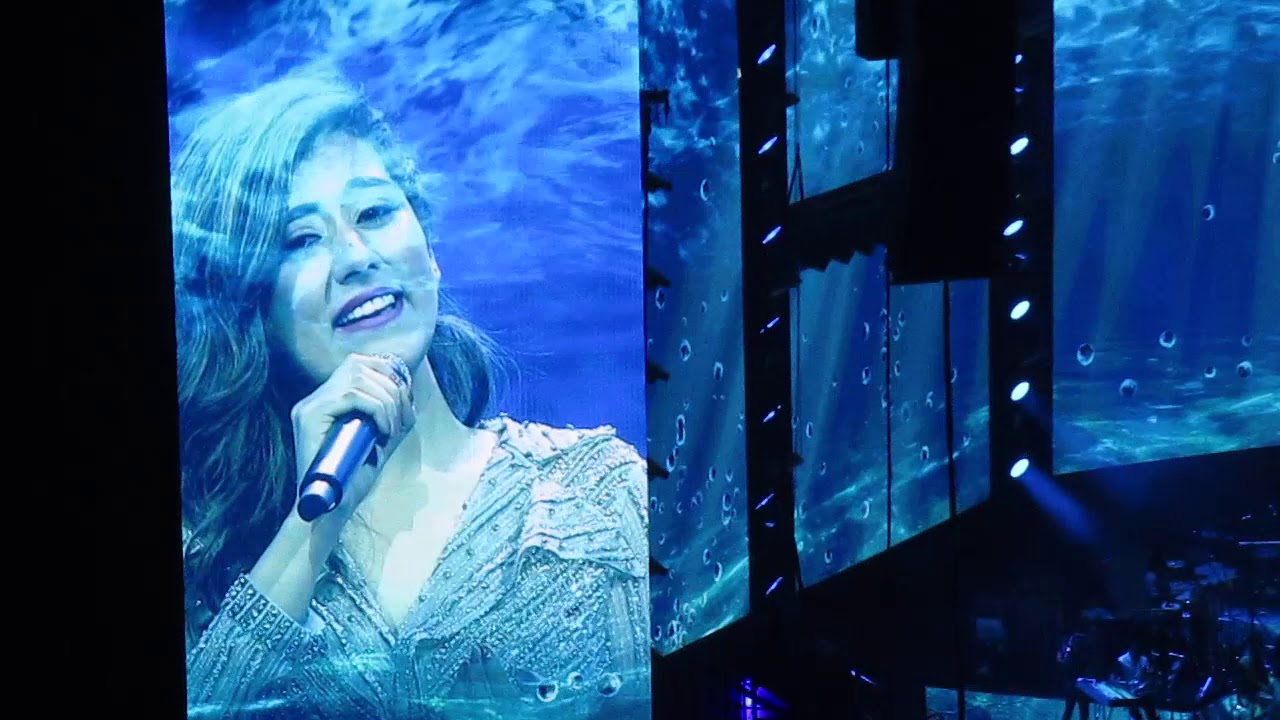 AR Rehman, introduces his son A. R. Ameen at Dubai Coca Cola Areena 2019 live show 2019