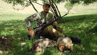 видео: ОХОТА на СУРКА в ГОРАХ! ЗАсадили 3 Джипа. Всю ночь ЖДАЛИ ТРАКТОР. Охота на сурка в Казахстане. картинка: ОХОТА на СУРКА в ГОРАХ! ЗАсадили 3 Джипа. Всю ночь ЖДАЛИ ТРАКТОР. Охота на сурка в Казахстане.