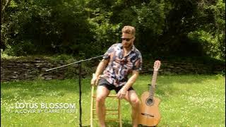 Lotus Blossom- Michael Franks (cover)