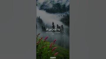 وَمَا أَنْتُمْ بِمُعْجِزِينَ فِي الْأَرْضِ ۖ وَمَا لَكُمْ مِنْ دُونِ اللَّهِ  #القارئ_محمد_اسبيعان