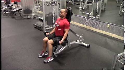 Seated Dumbbell Curl - Supinated Grip