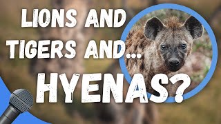 What do Humans Have in Common with Hyenas