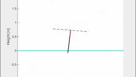 Hopping Robot Simulation