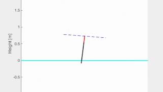 Hopping Robot Simulation