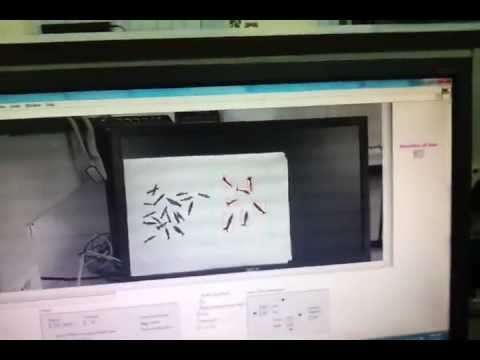 MH Y4S2 Intelligent Fish Culturing System (fish tracking)