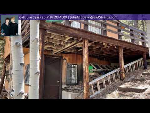 577 Horseshoe Drive, Florissant, CO home video tour