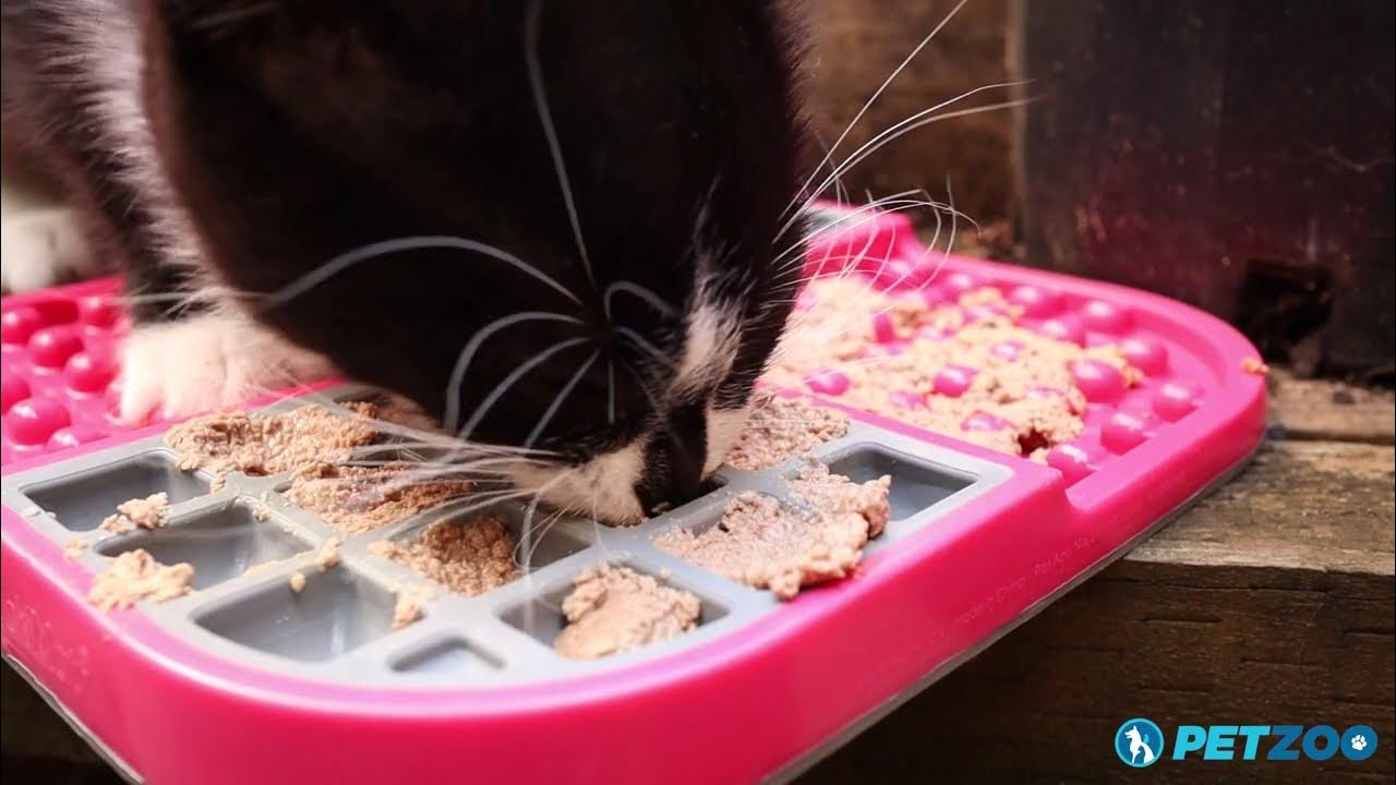 How to Use the LickiMat Slowmo for Cats Watch a Cat Enjoy Wet Food