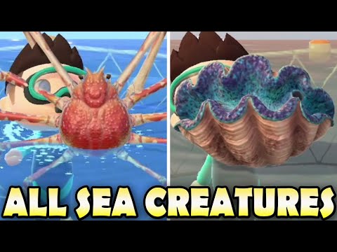 🦐 ALL 40 SEA CREATURES & How To find Them In Animal Crossing New Horizons! (Northern & Southern)