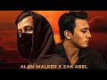 Alan Walker &amp; Zak Abel - Endless summer مترجمة ترجمة صحيحة مع فيديوهات من تصميمي