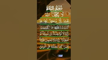 أجمل تلاوة صباحية ♥️🥀صباح الخير والسعادة 💚🥀Good moring ♥️🥀