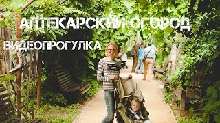 ЛЮБИМЫЕ МЕСТА ДЛЯ ПРОГУЛОК С РЕБЕНКОМ / АПТЕКАРСКИЙ ОГОРОД / МОСКВА ЛЮБИМЫЕ МЕСТА ДЛЯ ПРОГУЛОК С РЕБЕНКОМ / АПТЕКАРСКИЙ ОГОРОД / МОСКВА