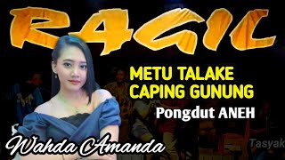 METU TALAKE-CAPING GUNUNG-RAGIL Pongdut