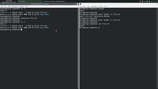 chmod | Linux | Command Line