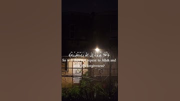 ||سورة المائدة||أية(74)||القارئ عبد الرحمن مسعد||افلا يتوبون الى الله ويستغفرونه||تلاوة خاشعة 🍃🎧❤️