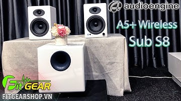 Audioengine A5+ Wireless kết hợp với Sub S8 | Combo hoàn hảo để có 1 dải trầm tuyệt vời (Test Loa)