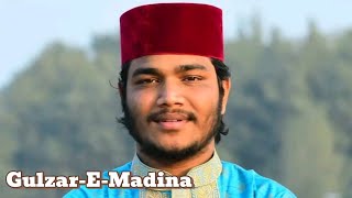 Gulzar-E-Madina.Heart touching urdu nasheed.Best urdu nasheed 2025.