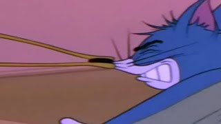 Tom and Jerry The Vanishing Duck - Tom and Jerry Episode 111 [ T&J ]