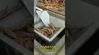 Cassava starch processing cassava starch production process machine