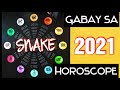 2021 Horoscope | YEAR OF THE SNAKE