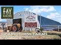 SOLD | Colorado Property For Sale | Hobby Horse Farms | Firestone, Colorado