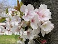 【朗読】中原中也　作「早春散歩」